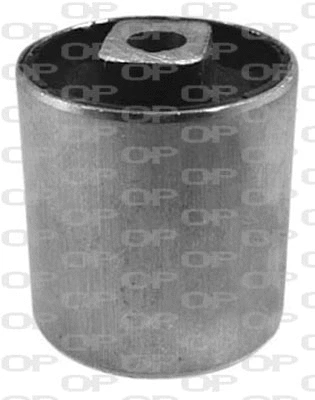 Mounting, control/trailing arm (SSS1108.11)