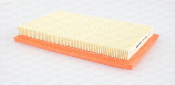 Air Filter (EAF3490.10)