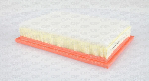 Air Filter (EAF3134.10)