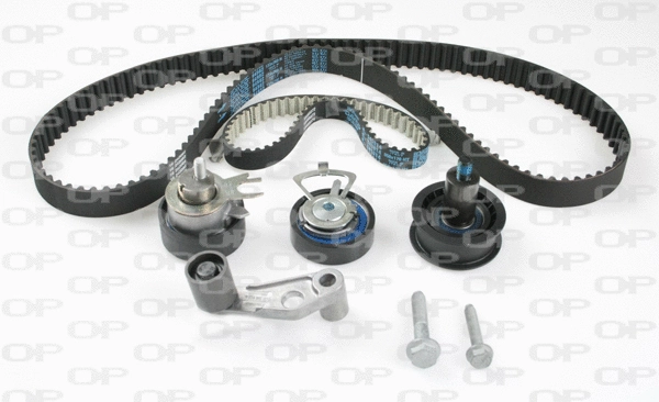 Timing Belt Kit (TBK5117.11)