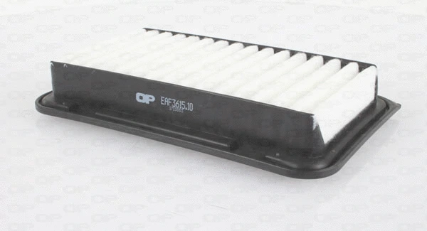 Air Filter (EAF3615.10)