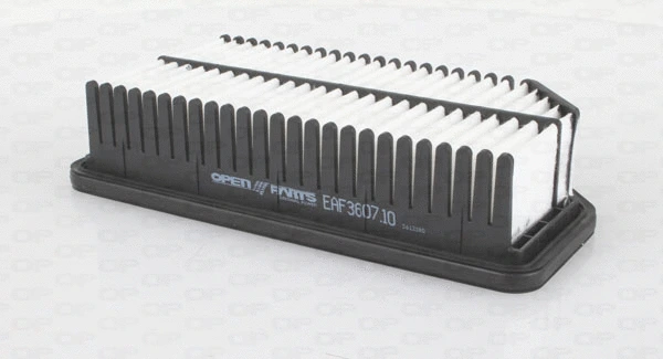 Air Filter (EAF3607.10)