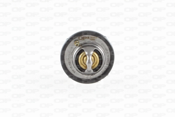Thermostat, coolant (TRM1041.00)