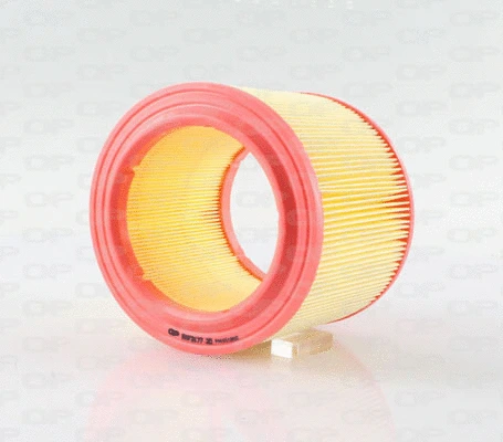 Air Filter (EAF3177.20)