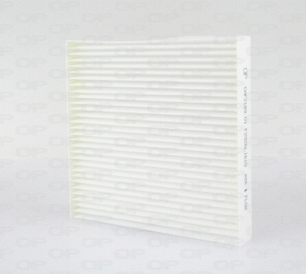 Filter, cabin air (CAF2189.01)