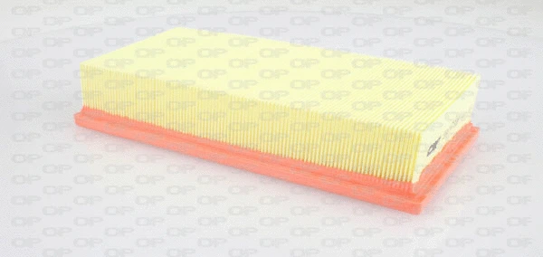 Air Filter (EAF3173.10)