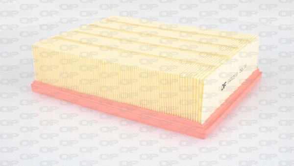Air Filter (EAF3025.10)