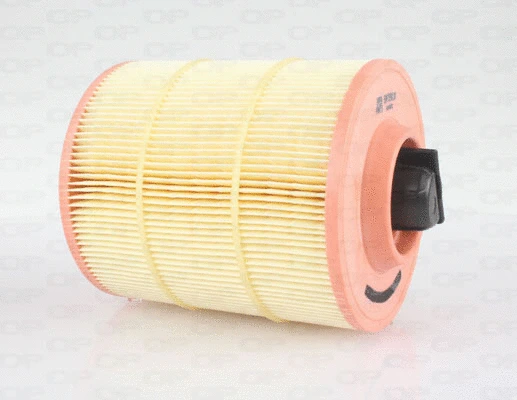 Air Filter (EAF3590.20)