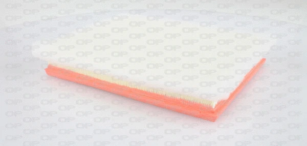 Air Filter (EAF3086.10)