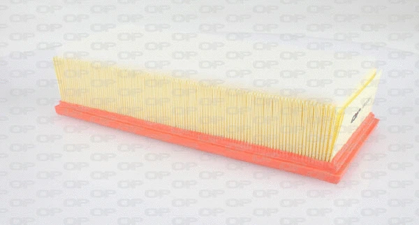 Air Filter (EAF3092.10)