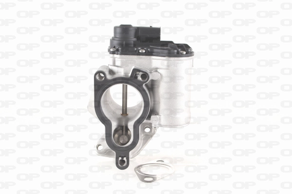EGR Valve (EGR3016.00)