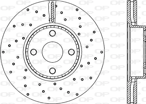 Brake Disc (BDRS2155.25)