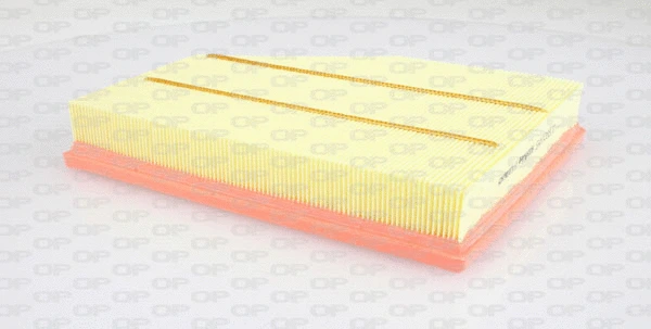 Air Filter (EAF3288.10)