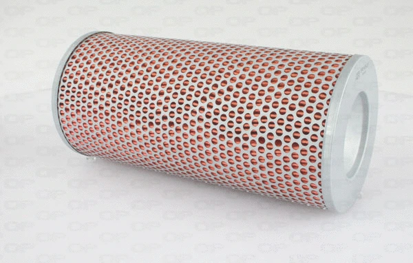 Air Filter (EAF3434.20)
