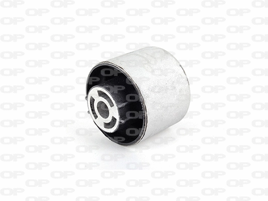 Mounting, control/trailing arm (SSS1209.11)