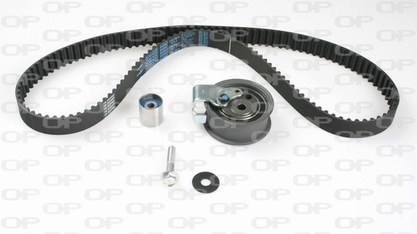 Timing Belt Kit (TBK5116.01)
