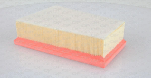 Air Filter (EAF3343.10)