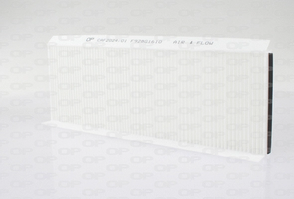 Filter, cabin air (CAF2024.01)