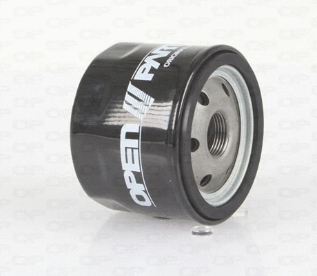 Oil Filter (EOF4019.20)
