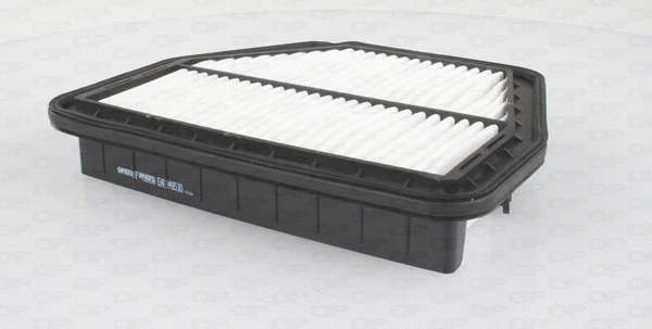 Air Filter (EAF3495.10)