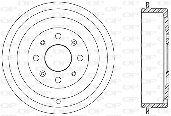 Brake Drum (BAD9065.10)