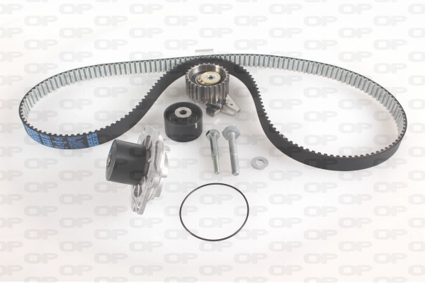 Water Pump & Timing Belt Kit (WTBK5053.00)