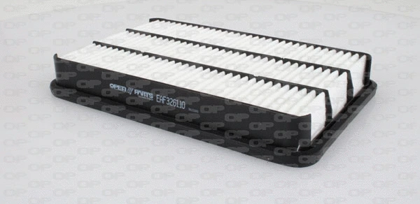 Air Filter (EAF3261.10)