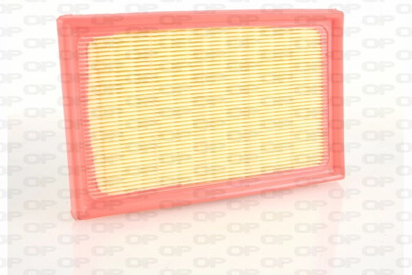 Air Filter (EAF3748.10)