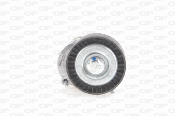 Belt Tensioner, V-ribbed belt (ACT2151.00)