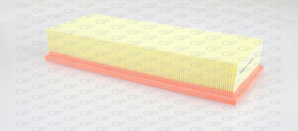 Air Filter (EAF3310.10)