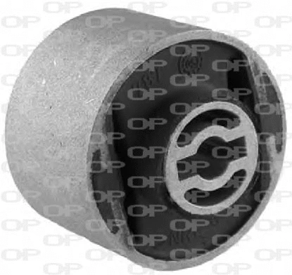Mounting, control/trailing arm (SSS1092.11)