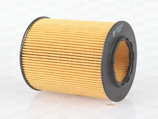 Oil Filter (EOF4066.10)