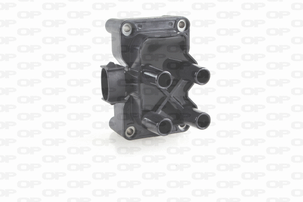 Ignition Coil (IGN1010.00)