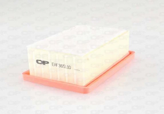 Air Filter (EAF3651.10)