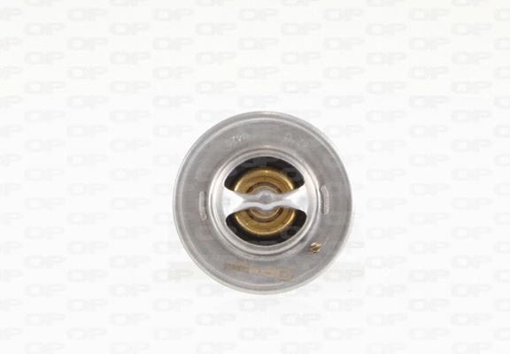 Thermostat, coolant (TRM1014.00)