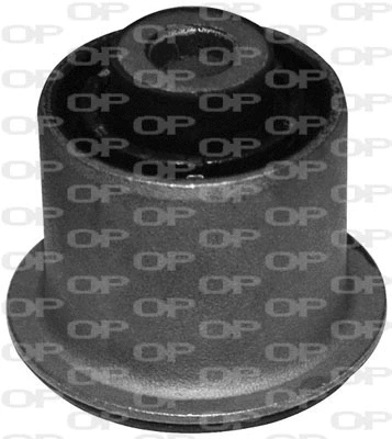 Mounting, control/trailing arm (SSS1054.11)