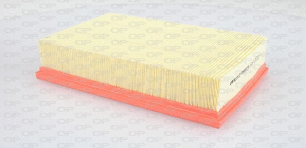Air Filter (EAF3251.10)