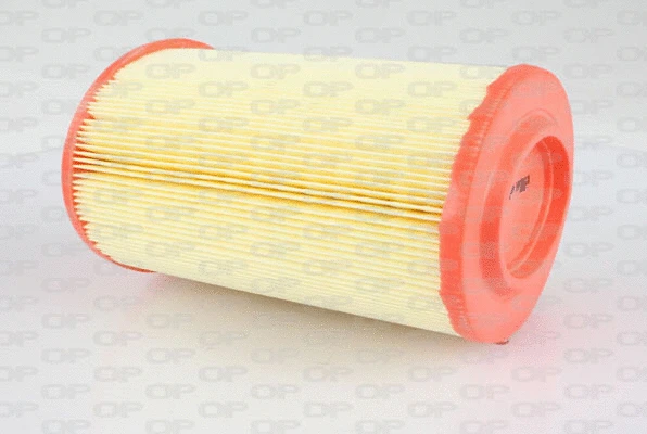 Air Filter (EAF3053.30)