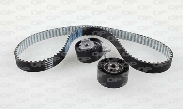 Timing Belt Kit (TBK5163.11)