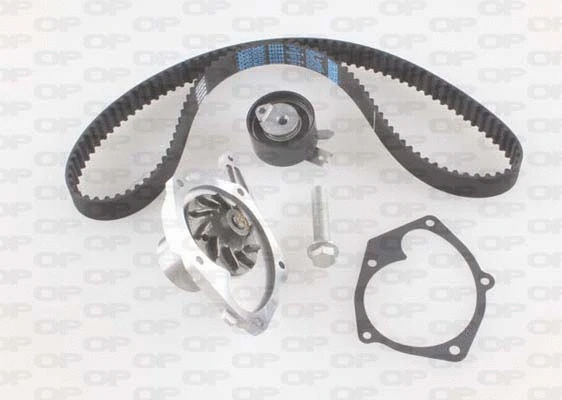 Water Pump & Timing Belt Kit (WTBK5017.01)