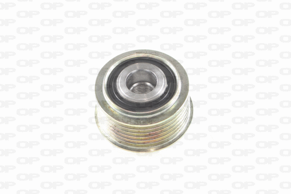 Alternator Freewheel Clutch (ACA3022.00)