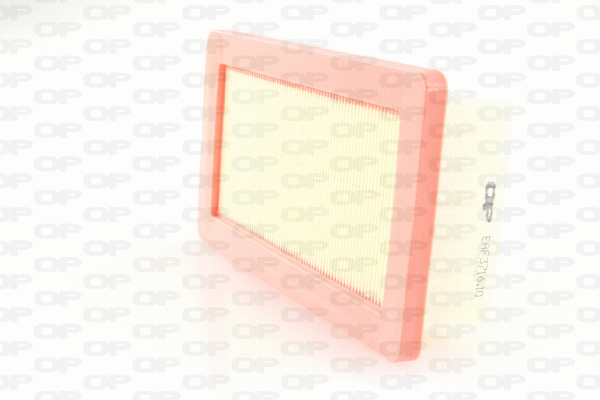 Air Filter (EAF3716.10)