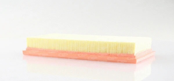 Air Filter (EAF3437.10)