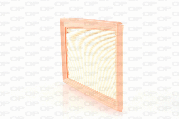 Air Filter (EAF3720.10)