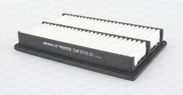 Air Filter (EAF3546.10)