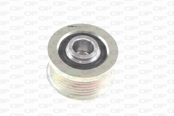 Alternator Freewheel Clutch (ACA3003.00)