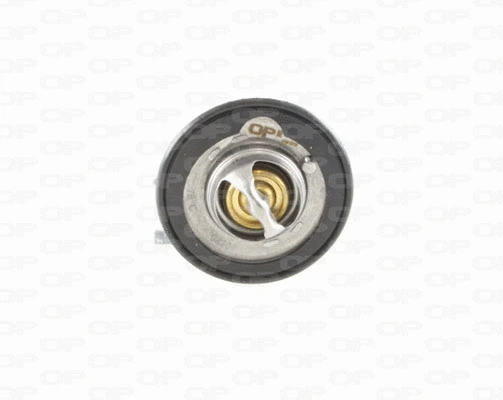 Thermostat, coolant (TRM1079.00)