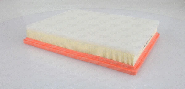 Air Filter (EAF3264.10)