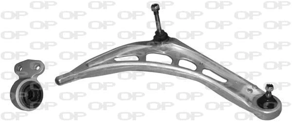 Control/Trailing Arm, wheel suspension (SSW1012.01)