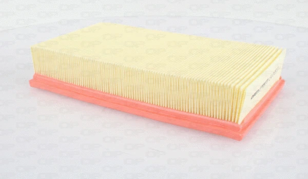 Air Filter (EAF3559.10)